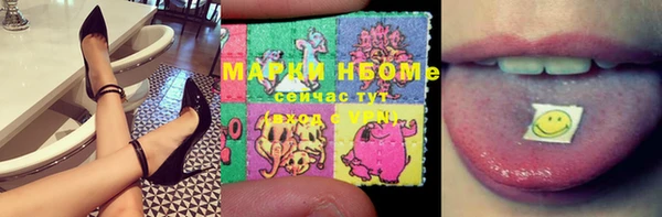 винт Алзамай