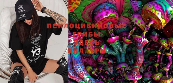 дмт Алексеевка