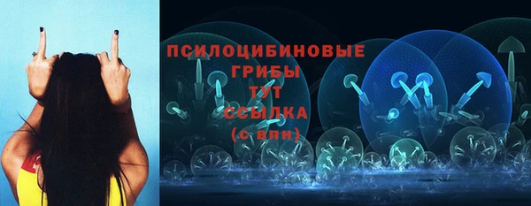 сатива Алексин