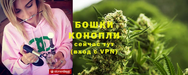 сатива Алексин