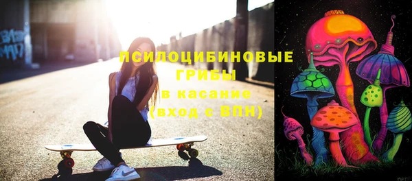 винт Алзамай