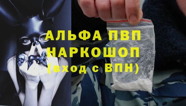 сатива Алексин