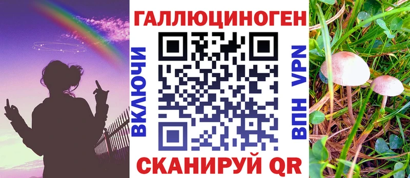 Псилоцибиновые грибы мицелий  Карачаевск 
